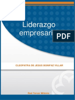 Liderazgo Empresarial