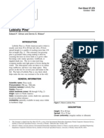 Pinus Taeda Loblolly Pine: Fact Sheet ST-478