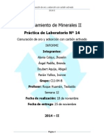 Lab PCM 2 - CARBON ACTIVADO PDF