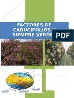 Factores de Caducifolios y Siempre Verdes