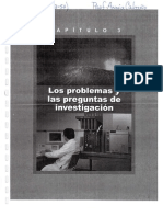 Los Problemas y Las Preguntas de Investigación