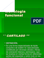 Morfologia Funcional Principios