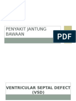 Penyakit Jantung Bawaan (VSD & PDA)