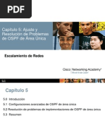 EscRed InstructorPPT Cap5 Es CCNA