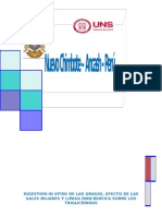 Digestión in Vitro de Las Grasas