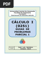 Guias Tema 1 Calculo I (Parcial 1)