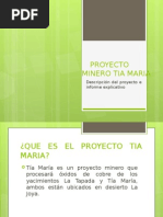 Proyecto Tia Maria