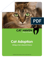 Cat Adoption: Giving A Cat A Second Chance