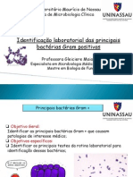 Aula 6 - identificau00E7u00E3o de Bacterias Gram Positivas PDF