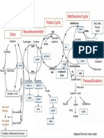 Methylation Diagram