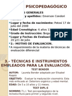 Informe Psicopedagógico