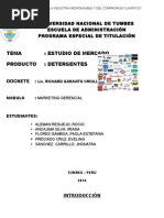 Estudio de Mercado en Detergentes TRABAJO GRUPAL