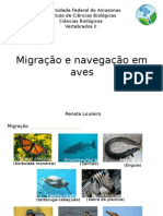 Migração e Navegação em Aves