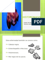 Histomoniasis 110511164709 Phpapp02