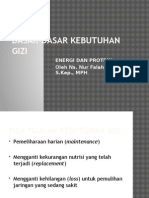 Dasar-Dasar Kebutuhan Gizi