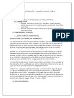 Sustitución Electrofilica Aromática - Síntesis Acido M - Nitrobenzoico