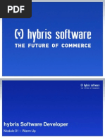 Hybris Software Developer - Warm Up