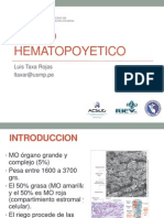 Tejido Hematopoyético