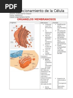 La Célula Cartel