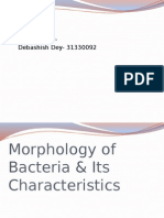 Morphology of Bacteria & Its Characteristics