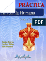 Guia de Cuello y Tronco PDF