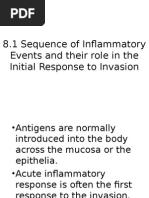 Sequence of Inflammatory Events