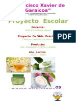 Proyecto de Cientifico