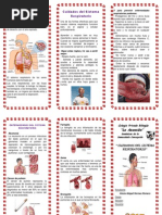 Triptico - Cuidaddos Del Sistema-Respiratorio