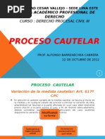 Proceso Cautelar