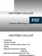 Clase Anatomia Rossi