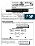 Teoria Das Inferências Imediatas