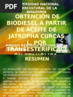 Obtención de Biodiesel A Partir de Aceite de Jatropha