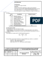 Practica Tehnologica