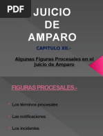 Cap Xii Amparo Figuras Procesales en El Juicio 140809