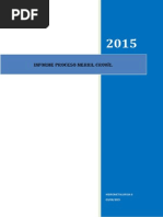 Informe-Merril Crowe PDF