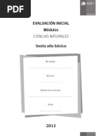 Evaluacion Ciencias Naturales