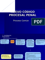 Proceso Comun NCPP