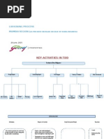 Liaisoning Process