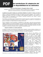 Integracion Metabolismo III