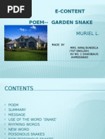 GARDEN SNAKE - PPSX