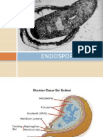 ENDOSPORA Kuliah