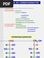 Quimica Carbohidratos