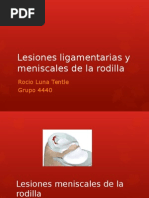 Lesiones Ligamentarias y Meniscales de La Rodilla