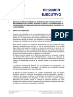 Resumen Ejecutivo PDF