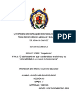 Ensayo Sobre Toxicomanía. "El Adolescente en Sus Características Evolutivas y Su Vulnerabilidad Al Acceso de La Toxicomanía.