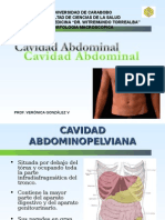 Cavidad Abdominal - Clase de Anatomía