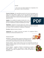 Proceso de Alimentacion