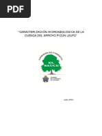 Caracterización Hidrogeologica de La Cuenca Del Arroyo Picún Leufú