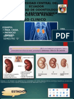 Insu-Renal Caso Clinico