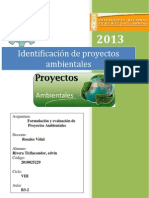 Identificacion de Proyectos